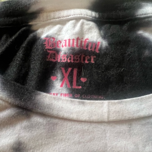 Beautiful Disaster - Picture 2 of 3